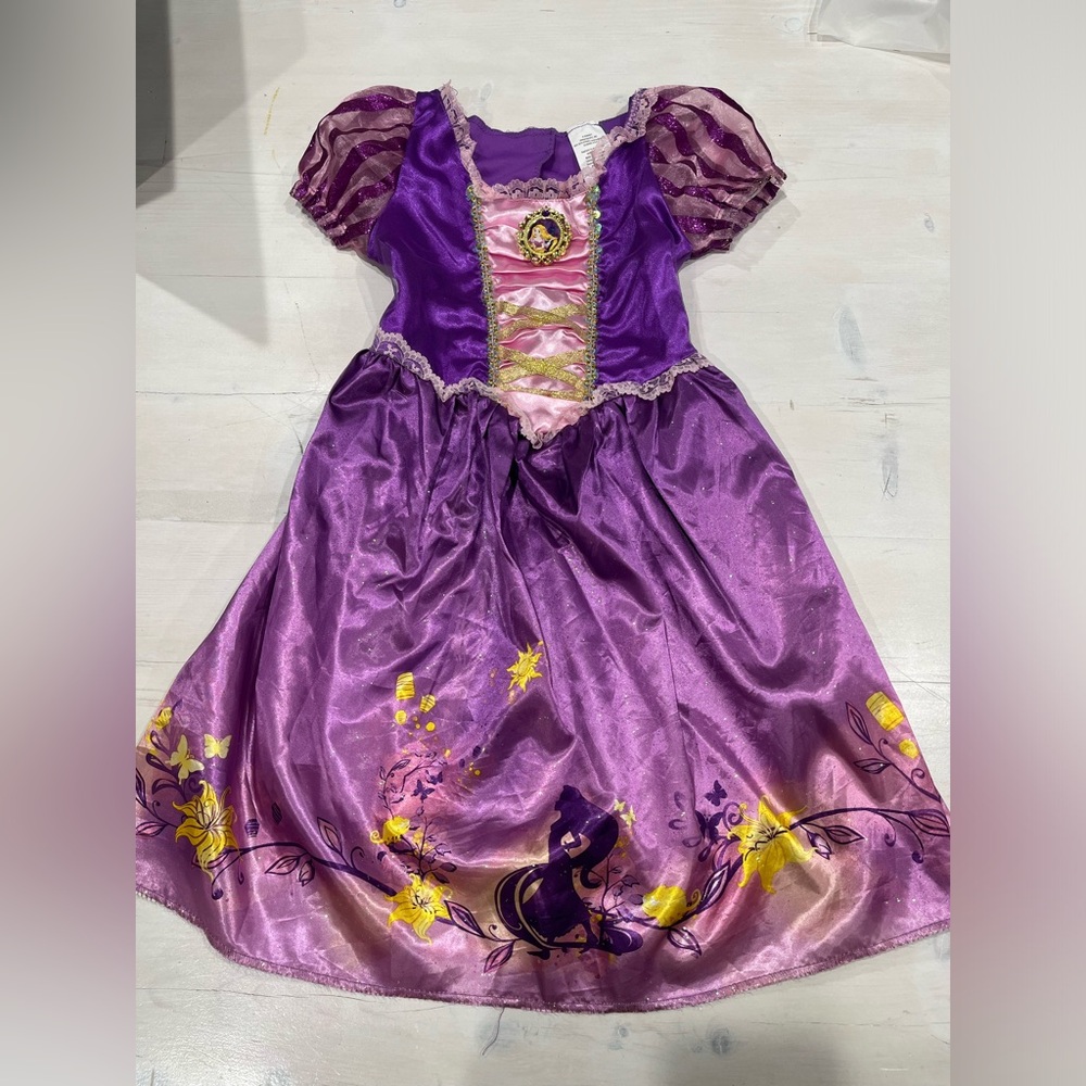 Disney Enchanted Purple and Yellow Dress